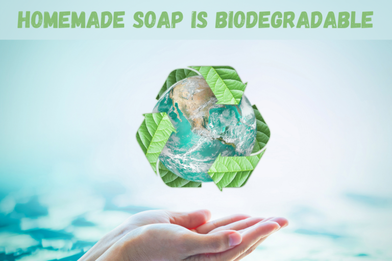 Homemade Soap: Biodegradable and Safe for the Environment. (Lye & Phosphates Info)